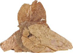 Fluker's Hermit Headquarters Hermit Crab CATAPPA Leaves