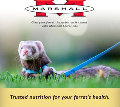 Marshall Pet Products Ferret Lax Hairball and Obstruction Remedy 1ea/3 oz