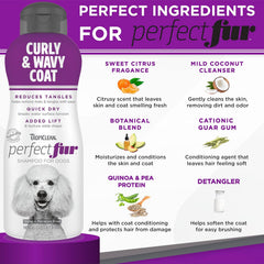 TropiClean Perfect Coat Shampoo for Dogs 16oz