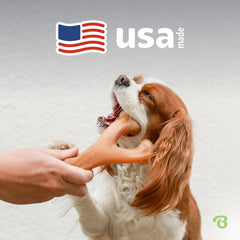 Benebone Wishbone Durable Dog Chew Toy for Aggressive Chewers, Real Chicken, Made in USA, for Any breed