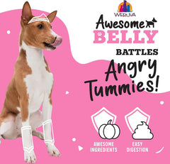 Weruva Awesome Belly Wet Dog Food, Chicken, White Rice & Pumpkin with Papaya (Pack of 8)