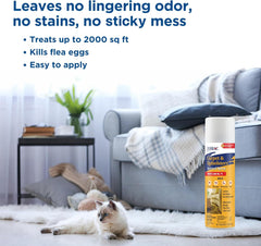 Zodiac Carpet & Upholstery Aerosol Spray, 16-ounce