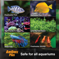KORDON #33475 AmQuel Plus Water Treatment, 5-Gallon