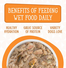 Weruva Dogs in The Kitchen, Goldie Lox with Chicken & Wild-Caught Salmon Au Jus Dog Food (Pack of 12)