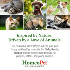 HomeoPet Hot Spots, Safe and Natural Cat and Dog Skin-Soothing Medicine for Red, Irritated, and Flaky Pet Skin, 15 Milliliters