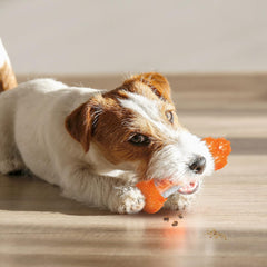 Nylabone Strong Chew Sneaky Snacker Treat Toy for Dogs, Interactive Dog Enrichment Chew Toys, Bacon Flavor