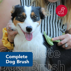 Safari Comfort Grip Curry Brush for Dogs - Dog Bath and Shampoo Brush and Massager for Indoor & Outdoor Dogs with Short Hair - One Size