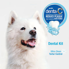 Nylabone Advanced Oral Care Dog Dental Kit Original Flavor