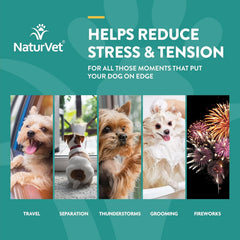 NaturVet Quiet Moments Plus Hemp Calming Aid Soft Chews for Dogs, 60 CT