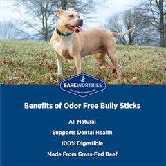 Barkworthies Odor-Free Bully Stick Treat, 6", (Pack Of 5)