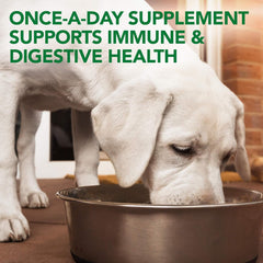 HERO PET Vet's Best Probiotic Soft Chews Dog Supplement - Supports Dog Digestive Health - Promotes a Healthy Gut - 30 day supply