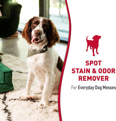 Nature’s Miracle Stain and Odor Remover Dog, Odor Control Formula