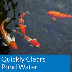 API POND ACCU-CLEAR Pond Water Clarifier 16-Ounce Bottle