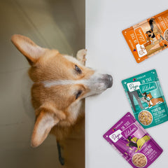 Weruva Dogs in The Kitchen, Variety Pack, Pooch Pouch Party!, Wet Dog Food 2.8-oz Pouch(Pack of 12)