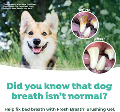TropiClean Fresh Breath & Tartar Control Total Care System for Large Dogs