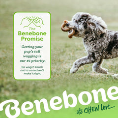 Benebone Tripe Bone Durable Dog Chew Toy for Aggressive Chewers, Real Tripe, Made in USA