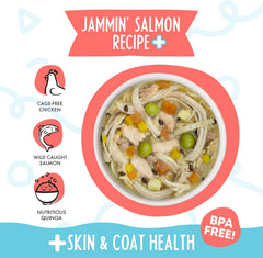 Weruva Meals 'n More Natural Wet Dog Food, Jammin' Salmon Plus Skin & Coat Health (Pack of 12)