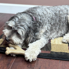 SPOT Bam-Bones Wishbone - Made with Strong Bamboo Fiber, Durable Long Lasting Dog Chew for Light to Moderate Chewers, Great Toy for Adult Dogs & Teething Puppies Under 50lbs, Chicken Flavor
