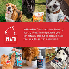PLATO Pet Treats Small Bites - Air-Dried Training Treats for Dogs - Supports Healthy Digestion - Limited Ingredients - Lamb