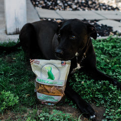 Loving Pets Natural Value All Natural Soft Chew Chicken Tenders Dog Treat