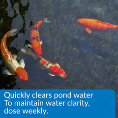 API POND ACCU-CLEAR Pond Water Clarifier 16-Ounce Bottle