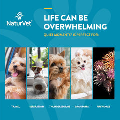 NaturVet Quiet Moments Calming Aid Dog Supplement, Helps Promote Relaxation, Reduce Stress, Storm Anxiety, Motion Sickness for Dogs (Quiet Moments, 180 Soft Chews)