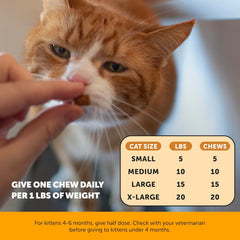 Pet Honesty Cat Immune Support Lysine - Cat Allergy Relief - Sneezing, Runny Nose, Watery Eyes - Cat Supplements & Vitamins with Omega 3s, L-Lysine, Antioxidants, Colostrum - Chicken (30 Day Supply)