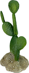 Multi Pet 48593322: Komodo Cactus Plant Prickly Pear, 6.3In