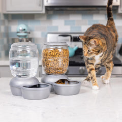 Petmate Replendish Feeder with Automatic Cat and Dog Feeder