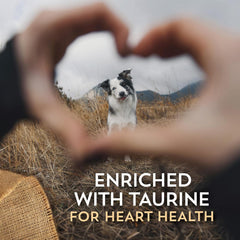 Sensitive Skin & Stomach Large Breed with Salmon and Ancient Grains Dry Food for Dogs and Puppies 30 lb
