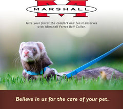 Marshall Pet Products Bell Collar