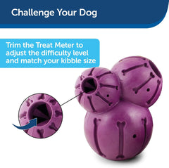PetSafe Busy Buddy Barnacle - Dog Chew Toy - Treat Dispensing Dog Toys