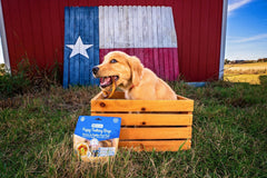 N-Bone Puppy Teething Rings Taste of Texas Queso Con Carne Flavor 3 Count