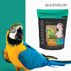 Roudybush Daily Maintenance Bird Food Medium Pellets – 10 lb