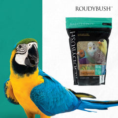 Roudybush Daily Maintenance Bird Food Nibbles – 22 oz