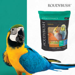 Roudybush Daily Maintenance Bird Food Crumbles – 10 lb
