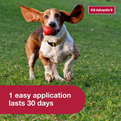 K9 Advantix® II – Monthly Flea, Tick & Mosquito Protection for Dogs