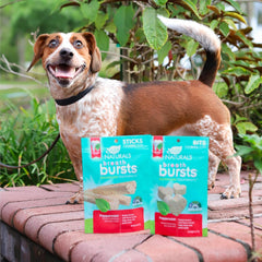 ARK NATURALS Breath Bursts Brushless Toothpaste Dog Treats, Dog Dental Bits for Small Breeds, Unique Texture Helps Clean Teeth & Freshen Breath, Peppermint