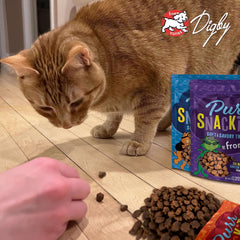 Fromm PurrSnackitty Salmon Flavor Snackitties Treats - Premium Soft & Savory Cat Treats - 3 oz