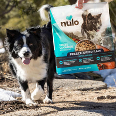 Nulo Freeze-Dried Raw Beef Recipe with Apples Complete and Balanced Dry Dog Food Kibble