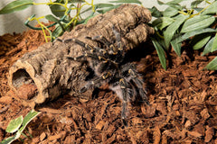 Galápagos Tropicoco Husk Natural Coconut Husk Bedding