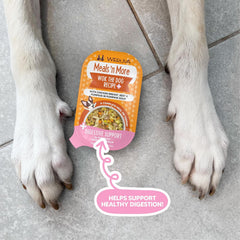 Weruva Meals 'n More Natural Wet Dog Food, Wok The Dog Plus Digestive Support (Pack of 12)