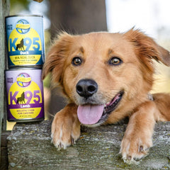 Earthborn Holistic K95 Lamb Recipe Grain-Free Canned Moist Dog Food 12 / 13 oz Can