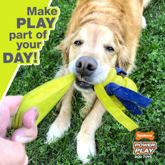 Nylabone Power Play Gripz Felt Basketball Rubber Fetch Toy, Squeaky Ball for Dogs, Large (1 Count)