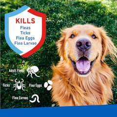 ADAMS Flea & Tick Spray 16 oz
