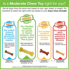 Nylabone Moderate Chew Flexi Chew Bone Peanut Butter & Bacon