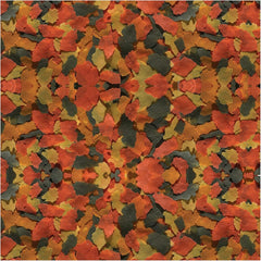 TetraColor PLUS Tropical Flakes with Color Enhancing(Pack of 1)