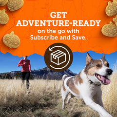 Zuke’s Mini Naturals Dog Training Treats for Dogs, Pet Treats Made with Real Chicken