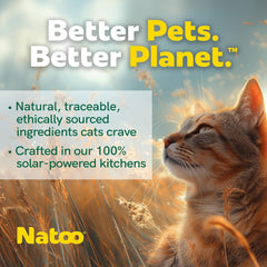 NATOO Cat Food Topper for Picky Eaters & Healthy Soft Cat Treat (Salmon & Pumpkin), Wet Food with Gravy, High Protein & Limited Ingredient, 2.4 oz (Case of 20)