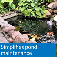 API Pondcare Ecofix Bacterial Pond Cleaner